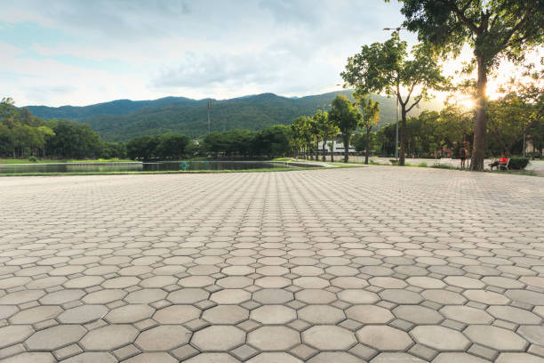 Best Residential Paver Driveway  in San Ysidro, NM